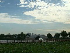 -天津东丽湖风景区
