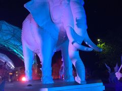 -清迈夜间动物园
