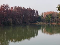 -东湖落雁景区