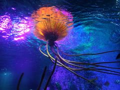 -沈阳海洋探索中心