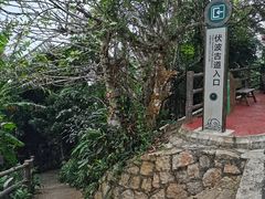 -海南铜鼓岭景区