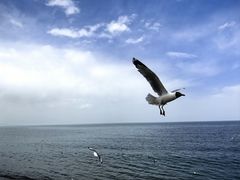 -青海湖国家重点风景名胜区