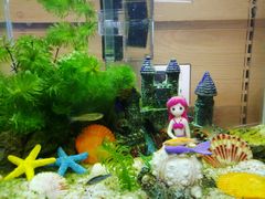 -大润发(姑嫂树店)