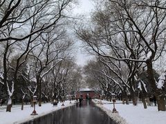 -天坛公园