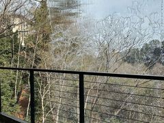-龙岩森林水乡景区