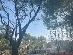 -金杨花园