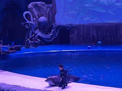 -华夏文旅海洋公园