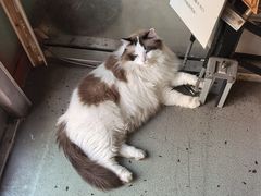 -白兔子密室(长寿路店)