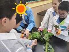 -神奇科学家STEAM科学实验科创赛事机器人编程逻辑思维MadScience(长宁来福士校区)