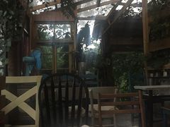 -懒鱼时光馆(沙坪坝店)