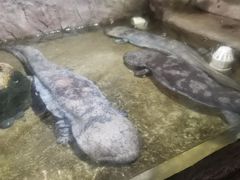 -青青世界
