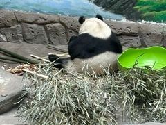 -青藏高原野生动物园