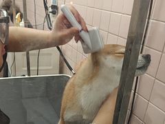 -FAELING PETS美天灵宠物(富力广场店)