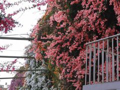 -宋大妈·怡得饭庄·昆明菜(海埂店)