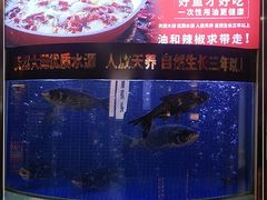 -潇湘码头·鲜湘菜(清河店)