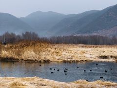 -丽江泸沽湖景区