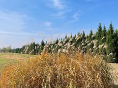 -汉长安城未央宫国家考古遗址公园