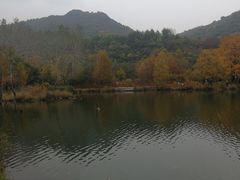 -玉渡山自然风景区