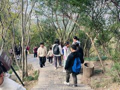 -紫金山山顶公园