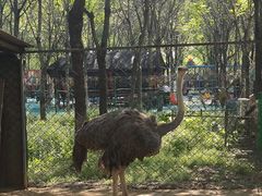 -草根堂农场
