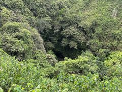 -海口火山口国家地质公园