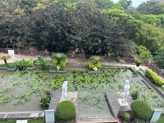 -罗浮山嘉宝田森林温泉度假酒店