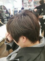-YESIDO椰岛造型