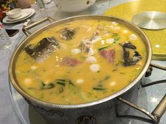 -丁老爷子苏香圆