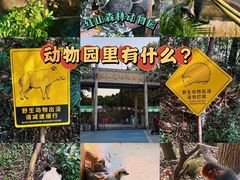 -红山森林动物园