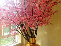 -三江森林温泉度假区