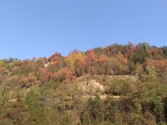 -白塔山公园