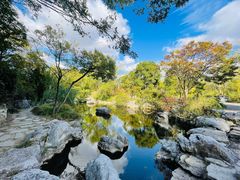 -上海吴淞炮台湾国家湿地公园