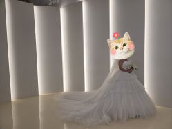 -金夫人婚纱摄影