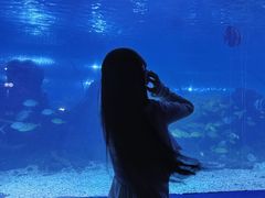 -重庆欢乐海底世界