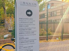 -三里屯东五街银杏大道