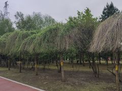 -黛秀湖公园