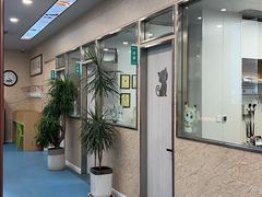 -东日国际动物医院·CT·心脏专科(桃源分院)