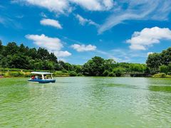 -宜兴龙背山森林公园