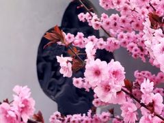 -国家植物园