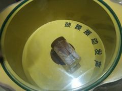 -上海昆虫博物馆