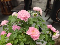 -又见炊烟私房菜(敬亭路店)