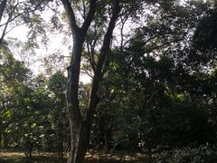 -华南国家植物园-售票处