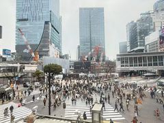 -涩谷全向十字路口