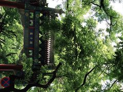 -北京国子监胡同