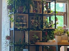 -ZING COFFEE 镜咖啡