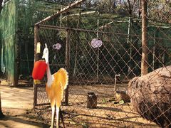 -草根堂农场