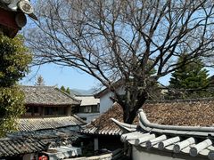 -心园餐厅·地道传统云南菜·三十年老店