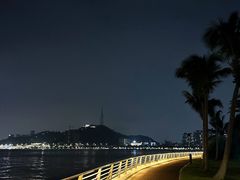 -野狸岛