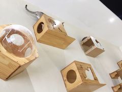 -藏猫猫咖啡主题馆(中央大道店)