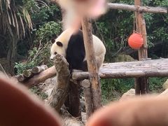 -宁波野生动物园